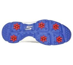 ﻿Skechers Go Golf Torque 2 Golf Shoes 214027 -FootJoy Shop 214027 GYBL C